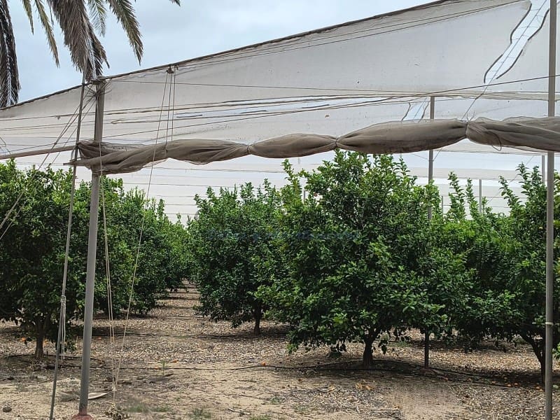 Finca/Landgut zu verkaufen in Cullera - 4.500.000 € (Ref: 9335359)