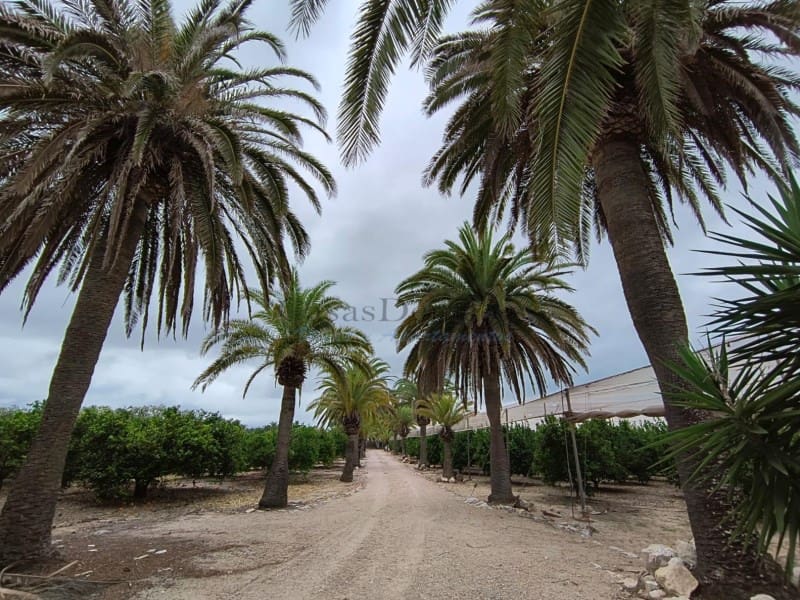 Finca/Landgut zu verkaufen in Cullera - 4.500.000 € (Ref: 9335359)
