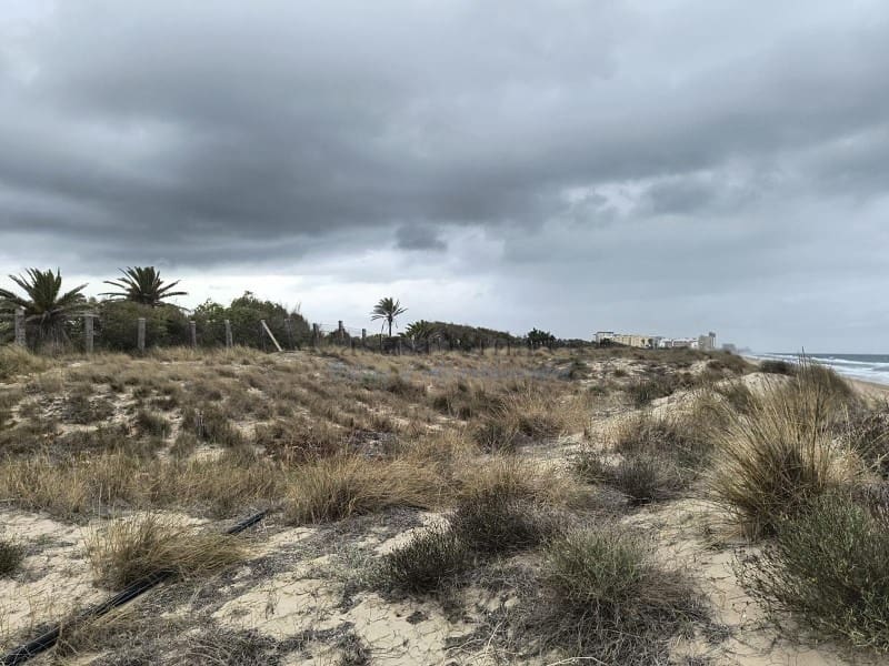 Finca/Landgut zu verkaufen in Cullera - 4.500.000 € (Ref: 9335359)