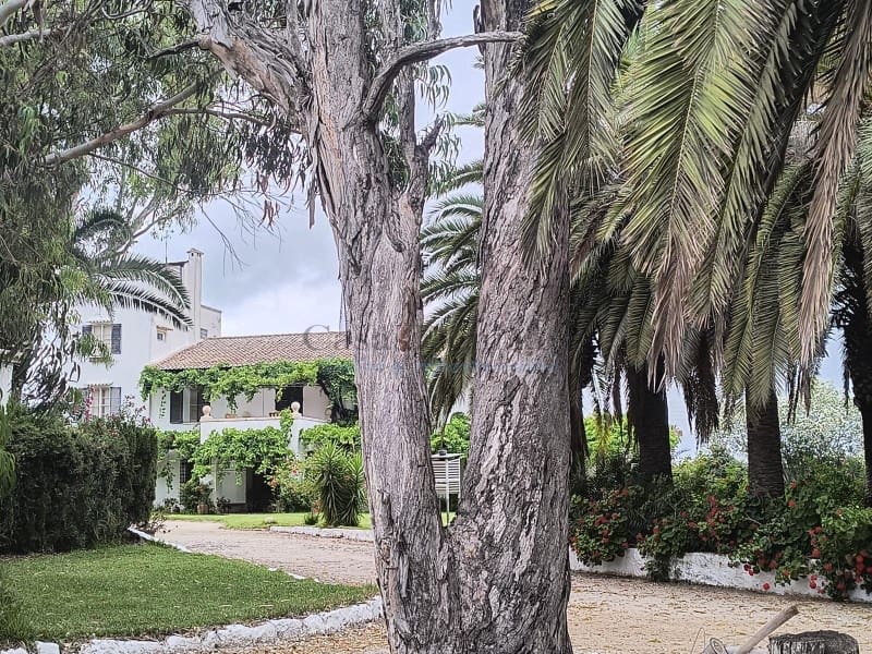 Finca/Landgut zu verkaufen in Cullera - 4.500.000 € (Ref: 9335359)