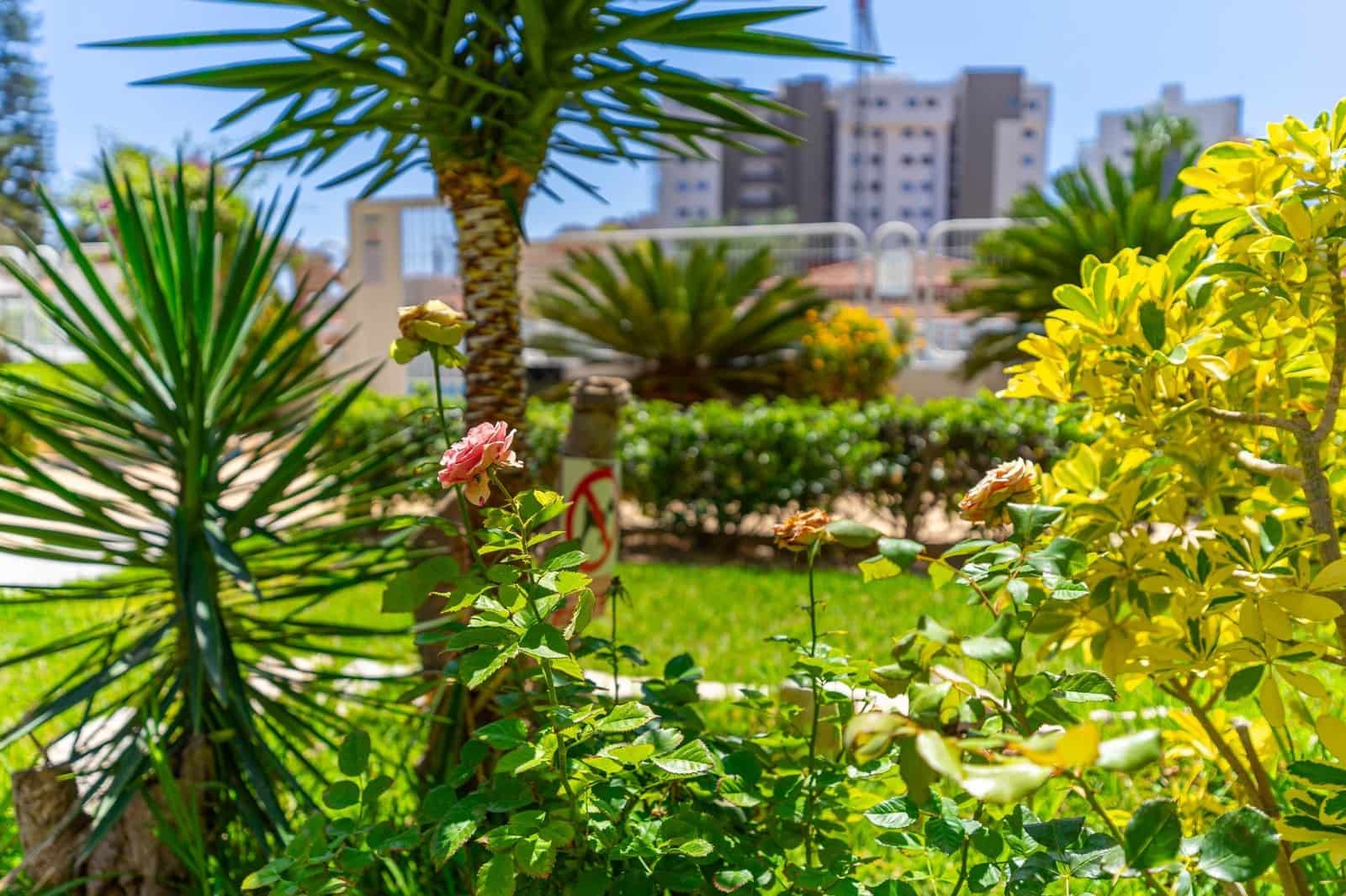 1 soverom Leilighet til salgs i Alicante by med svømmebasseng - € 245 000 (Ref: 10174027)