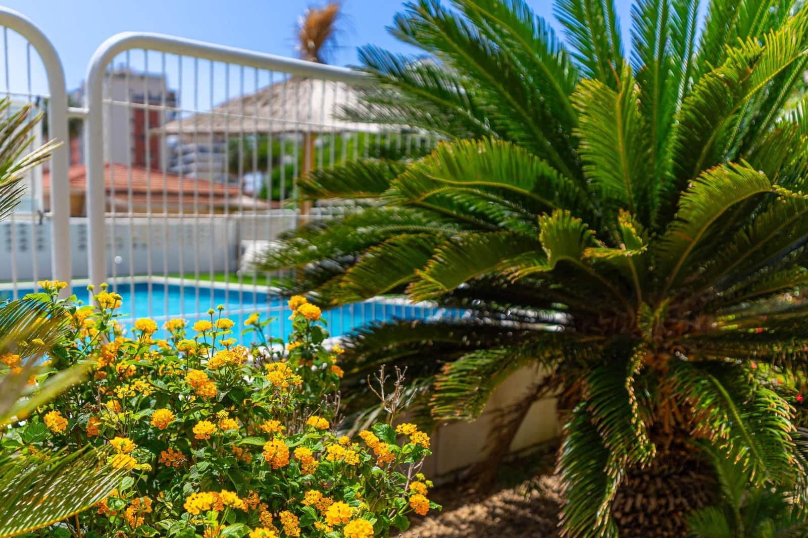 1 soverom Leilighet til salgs i Alicante by med svømmebasseng - € 245 000 (Ref: 10174027)