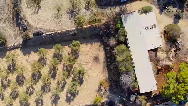 3 sovrum Finca/Hus på landet till salu i Elche / Elx - 432 000 € (Ref: 9276602)