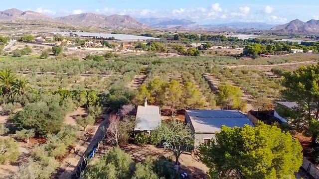 3 sovrum Finca/Hus på landet till salu i Elche / Elx - 432 000 € (Ref: 9276602)