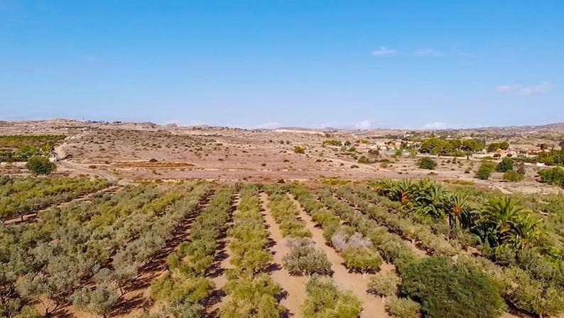 3 sovrum Finca/Hus på landet till salu i Elche / Elx - 432 000 € (Ref: 9276602)