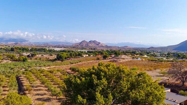 3 sovrum Finca/Hus på landet till salu i Elche / Elx - 432 000 € (Ref: 9276602)