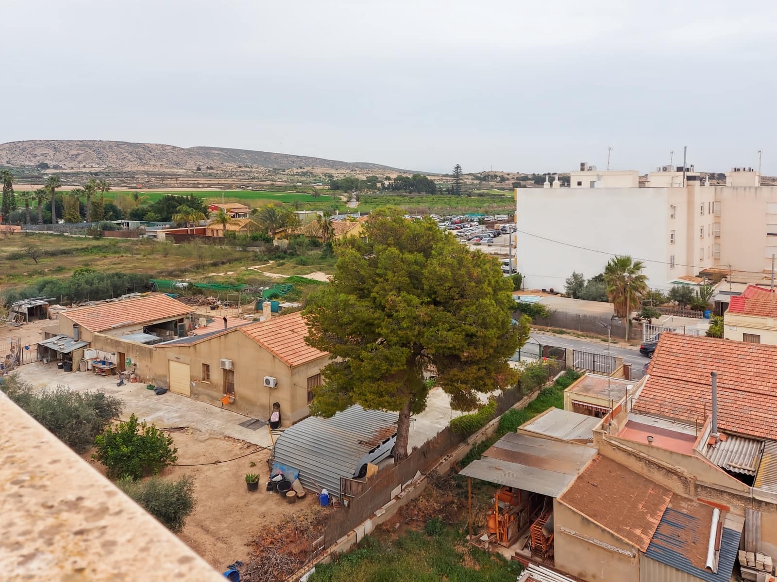 2 chambre Appartement à vendre à Torrellano - 169 000 € (Ref: 9646109)