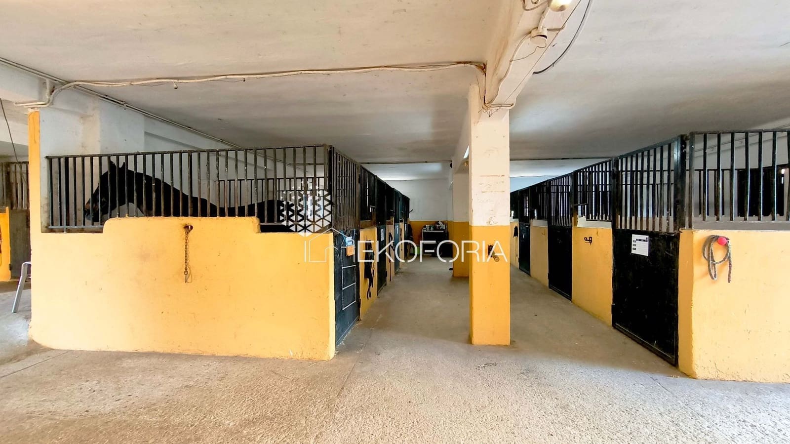 10 bedroom Villa for sale in Riba-roja de Turia with garage - € 599,000 (Ref: 10015052)