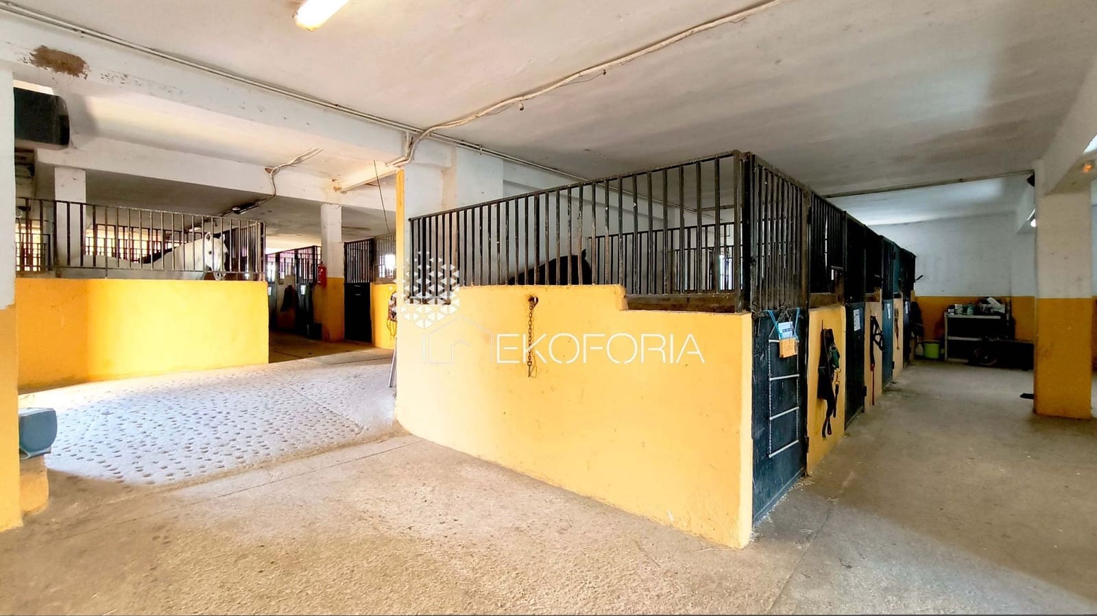 10 bedroom Villa for sale in Riba-roja de Turia with garage - € 599,000 (Ref: 10015052)