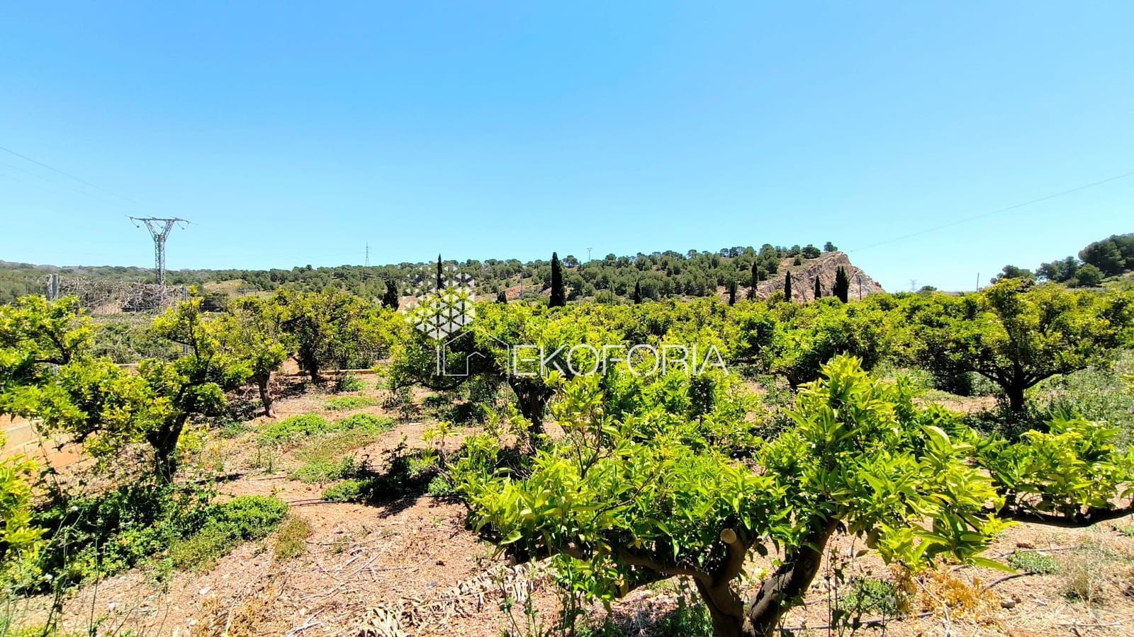 6 camera da letto Villa in vendita in Pucol con piscina garage - 573.000 € (Rif: 10015054)