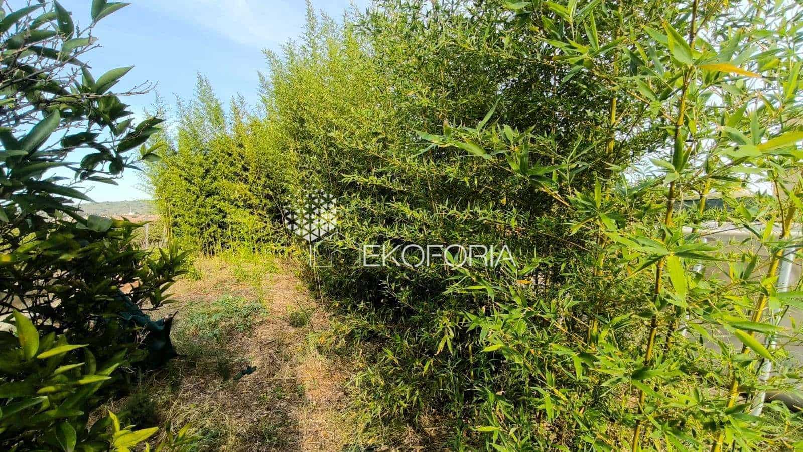 2 chambre Villa/Maison à vendre à Valence ville avec piscine garage - 169 000 € (Ref: 9535541)