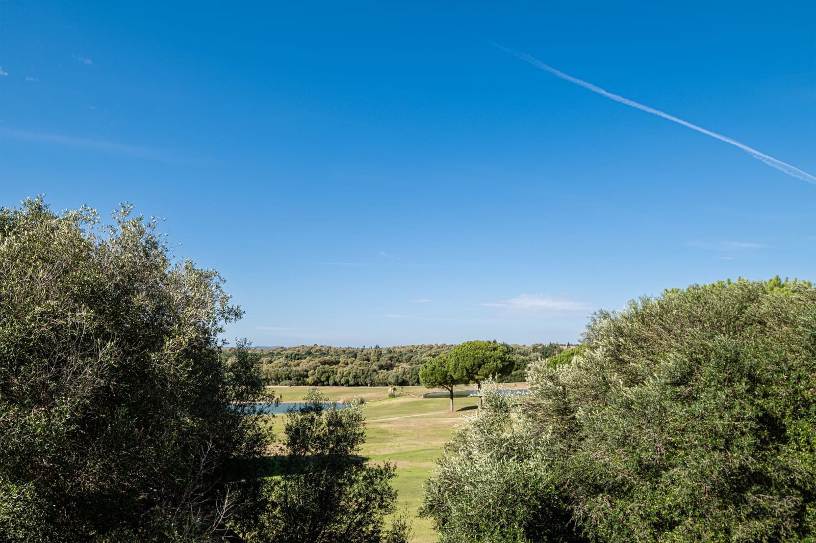 5 chambre Villa/Maison à vendre à Benalup avec piscine garage - 975 000 € (Ref: 8556192)