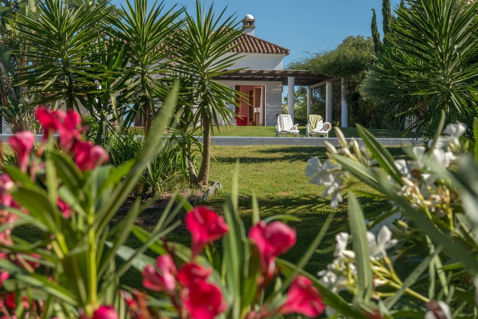 3 soveværelse Villa til salg i Benalup med swimmingpool garage - € 800.000 (Ref: 8723602)