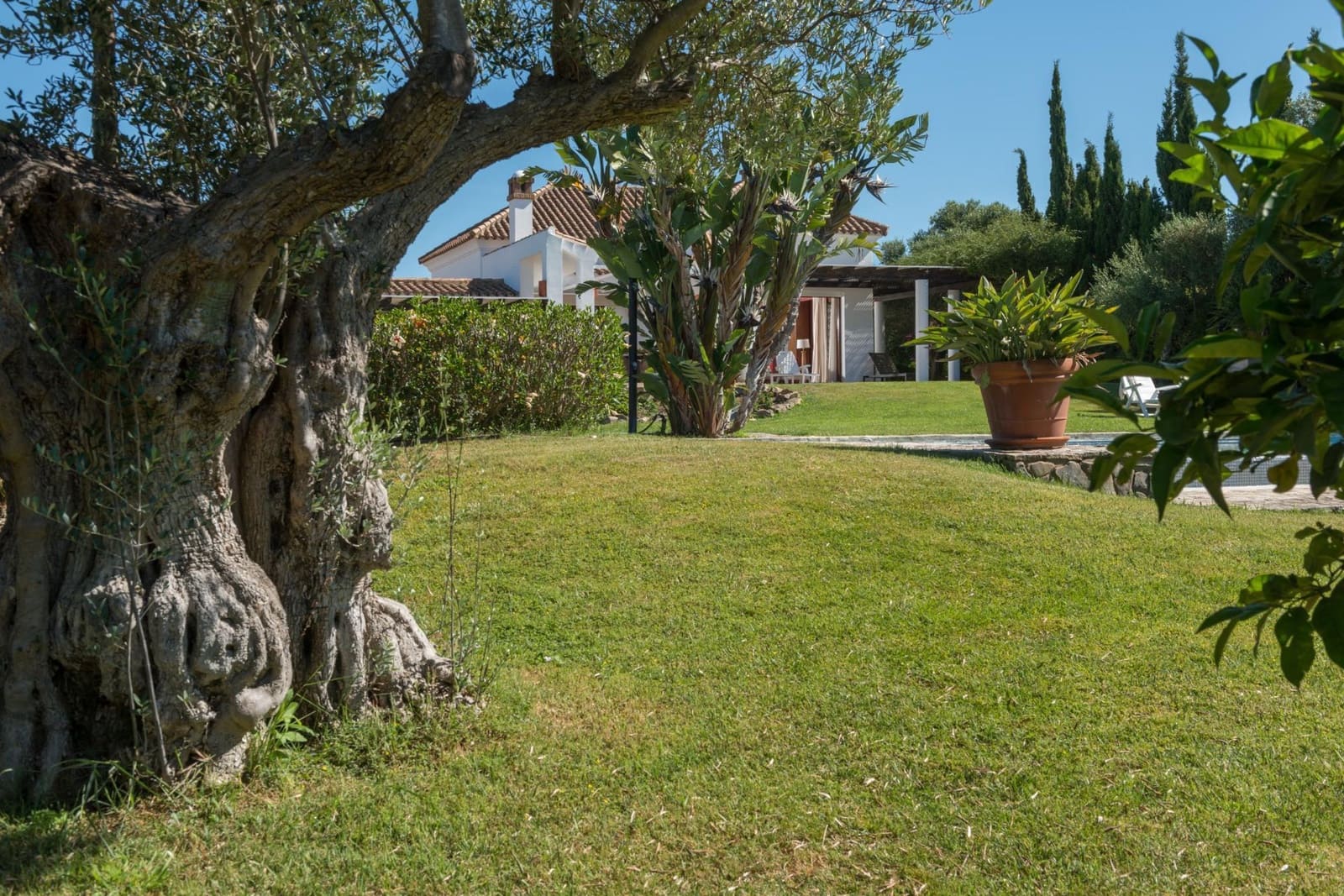 3 soveværelse Villa til salg i Benalup med swimmingpool garage - € 800.000 (Ref: 8723602)