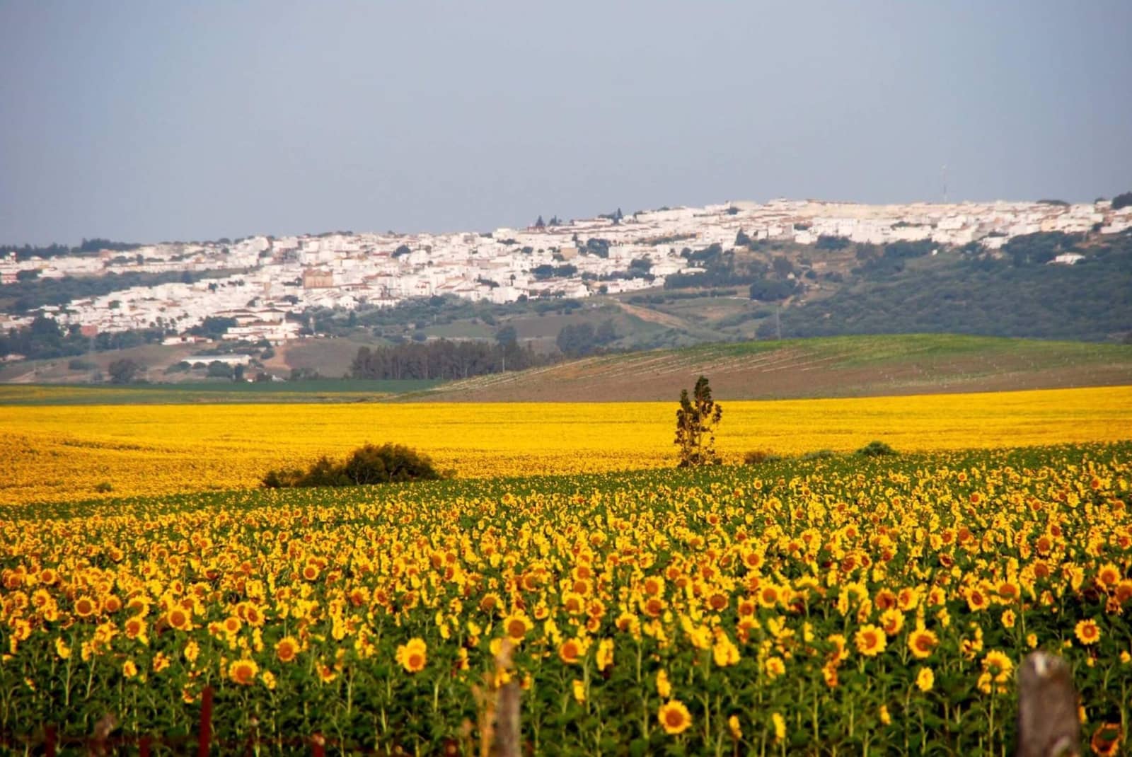 3 soveværelse Villa til salg i Benalup med swimmingpool garage - € 525.000 (Ref: 9239591)