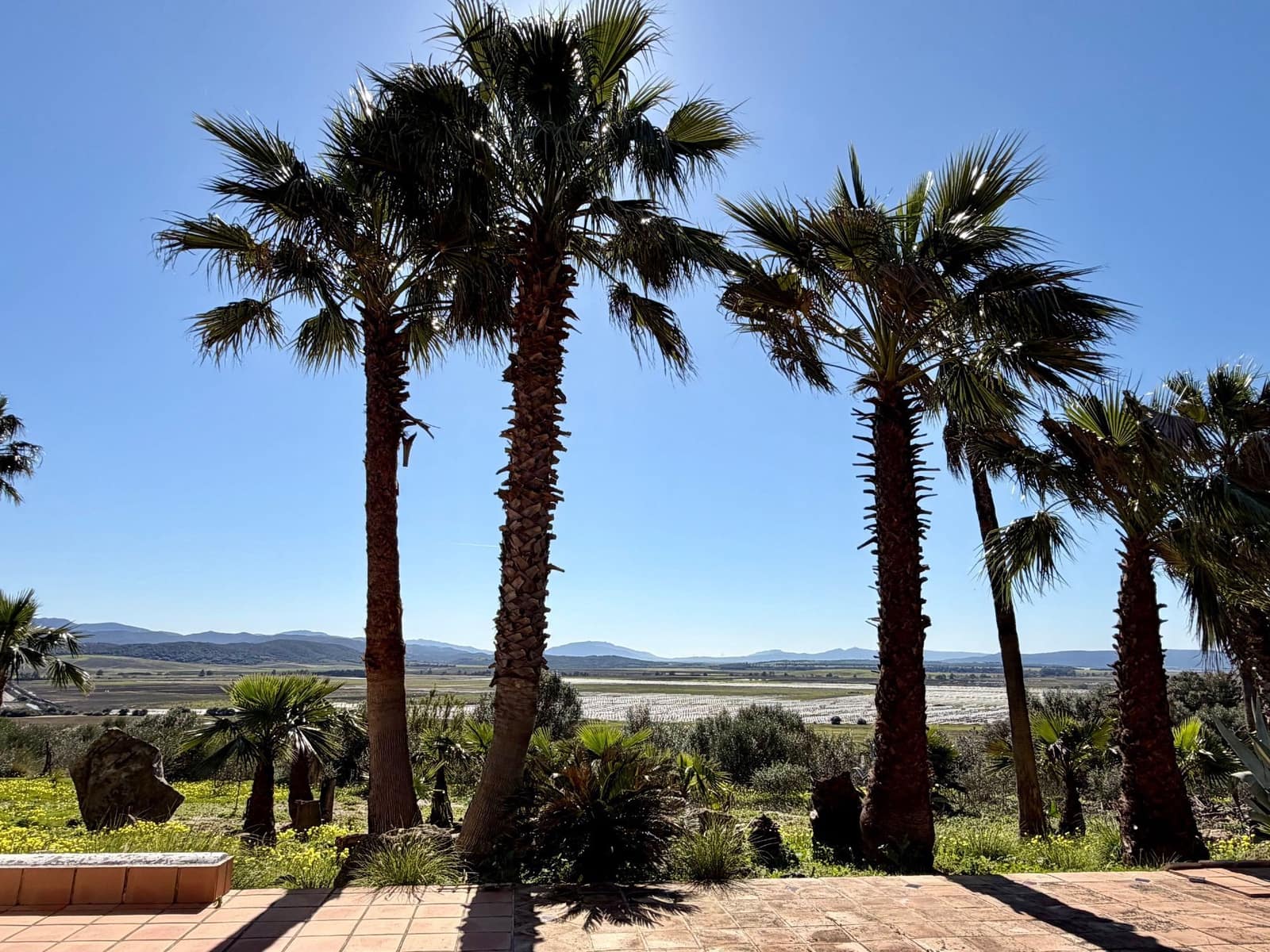 3 camera da letto Villa in vendita in Benalup con piscina garage - 525.000 € (Rif: 9239591)