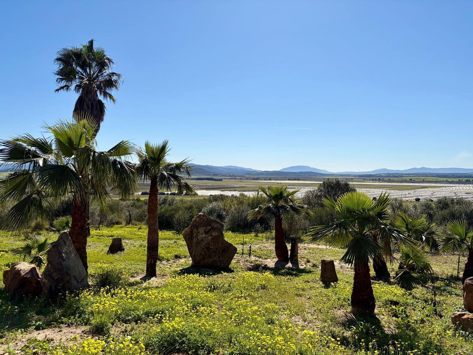 3 camera da letto Villa in vendita in Benalup con piscina garage - 525.000 € (Rif: 9239591)