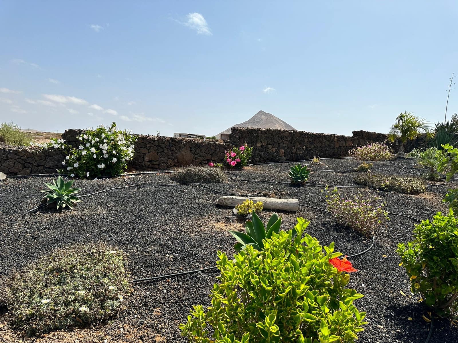 2 bedroom Villa for sale in Tindaya with pool - € 598,000 (Ref: 9816613)