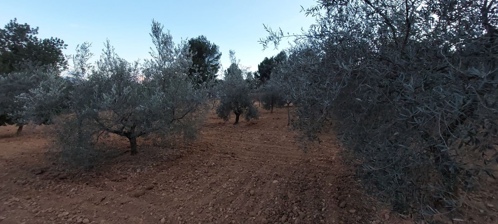 4 bedroom Finca/Country House for sale in Les Useres with garage - € 320,000 (Ref: 9591783)