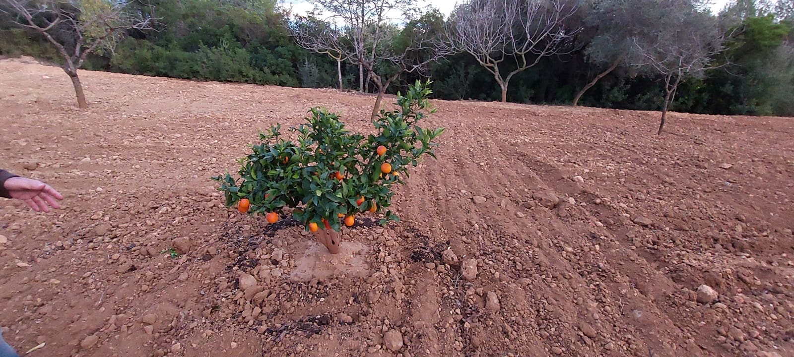 4 bedroom Finca/Country House for sale in Les Useres with garage - € 320,000 (Ref: 9591783)