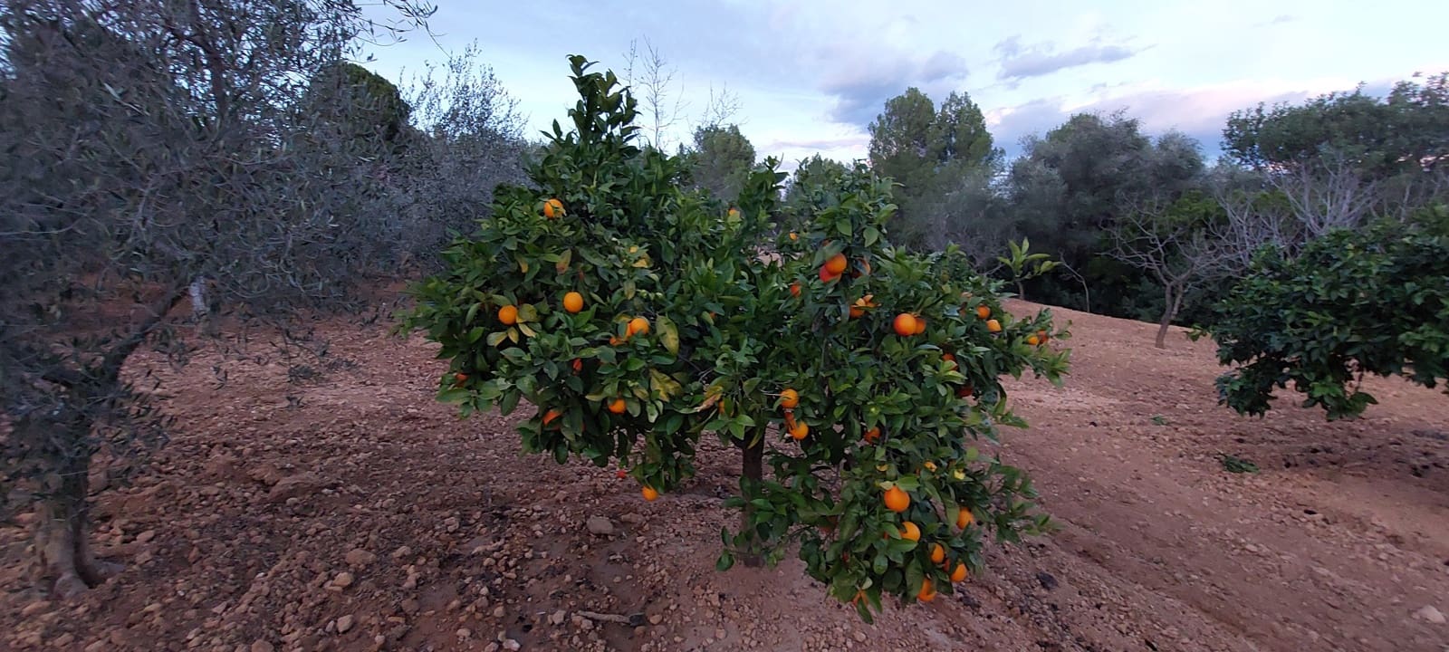4 bedroom Finca/Country House for sale in Les Useres with garage - € 320,000 (Ref: 9591783)