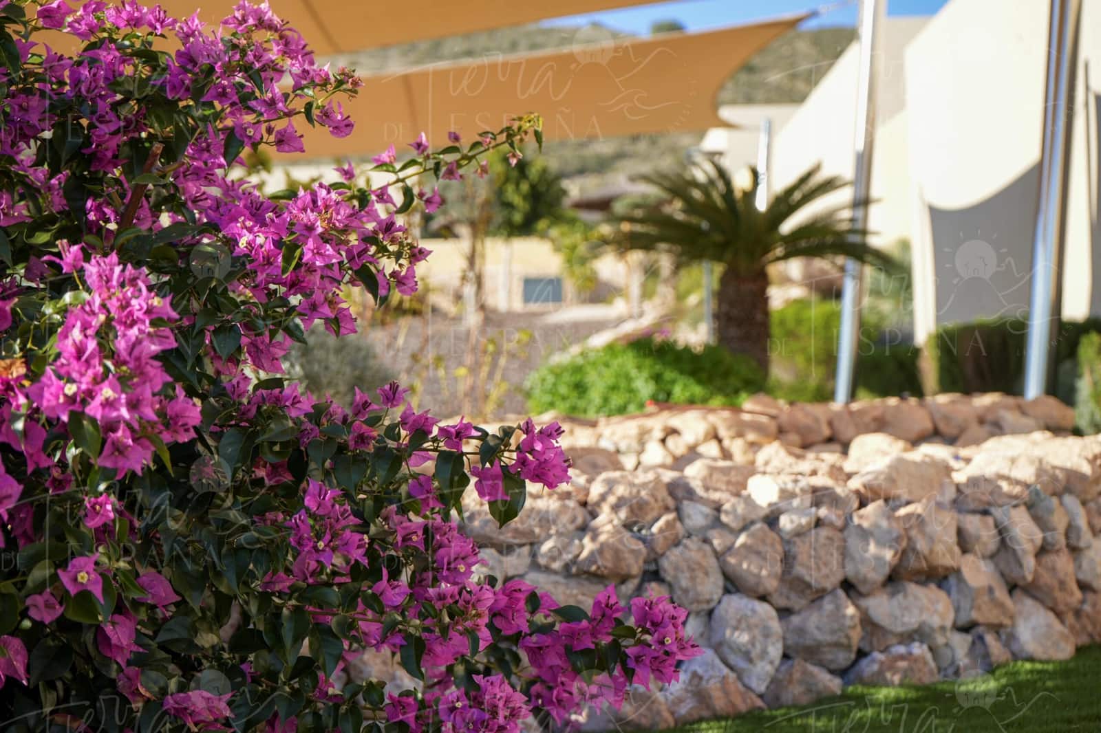 3 soveværelse Villa til salg i Banos y Mendigo med swimmingpool - € 503.000 (Ref: 9644930)