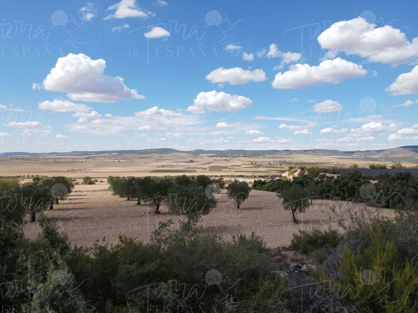 3 sypialnia Willa na sprzedaż w Yecla z basenem - 700 000 € (Ref: 9651850)