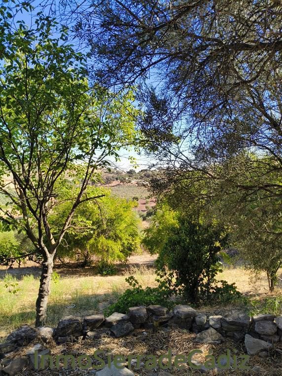 2 quarto Quinta/Casa Rural para venda em Algodonales com garagem - 375 000 € (Ref: 10025223)