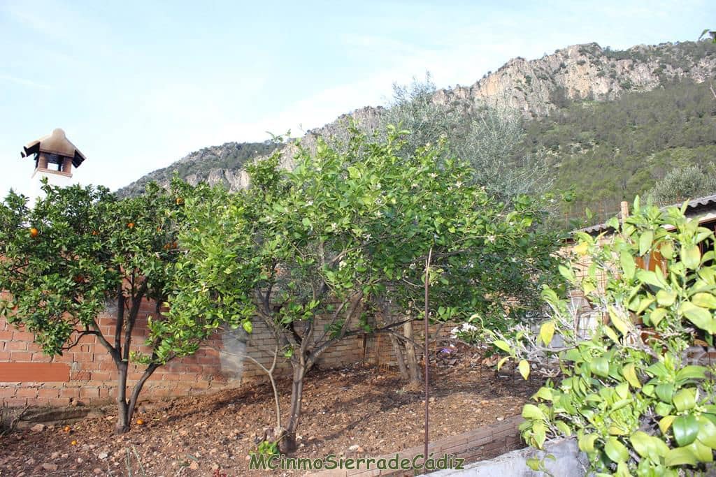 4 soverom Hus til salgs i Algodonales - € 69 000 (Ref: 8145603)