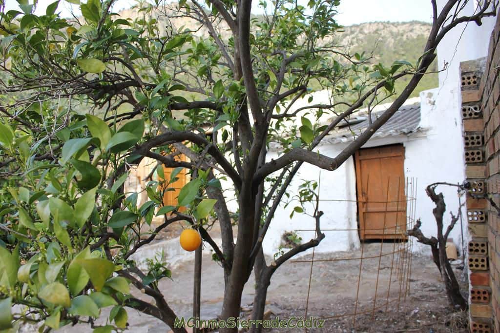 4 soverom Hus til salgs i Algodonales - € 69 000 (Ref: 8145603)