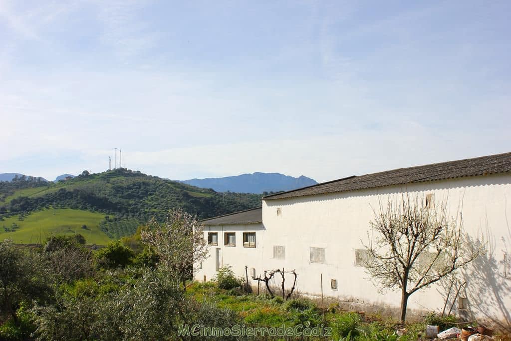 Finca/Landehus til salg i Algodonales - € 265.000 (Ref: 8174331)