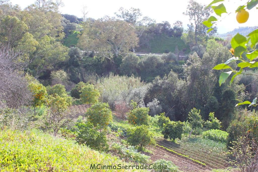 Finca/Landehus til salg i Algodonales - € 265.000 (Ref: 8174331)