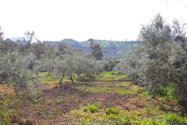 Finca/Landehus til salg i Algodonales - € 265.000 (Ref: 8174331)