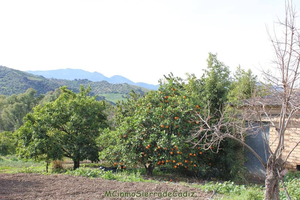 Finca/Landehus til salg i Algodonales - € 265.000 (Ref: 8174331)