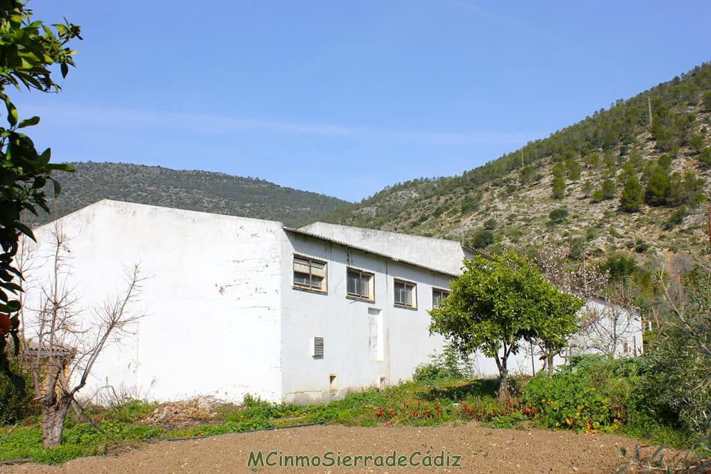 Finca/Landehus til salg i Algodonales - € 265.000 (Ref: 8174331)