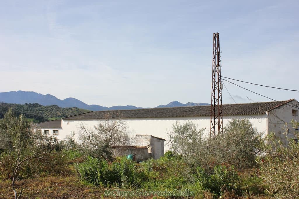 Finca/Landehus til salg i Algodonales - € 265.000 (Ref: 8174331)