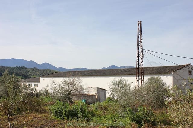 Finca/Landehus til salg i Algodonales - € 265.000 (Ref: 8174331)