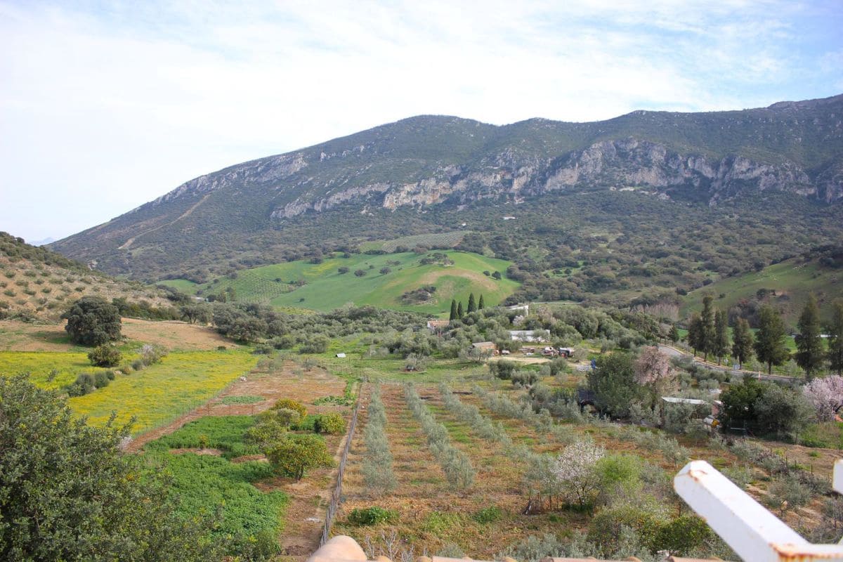 Casa de 3 habitaciones en Algodonales en venta - 105.000 € (Ref: 8178560)