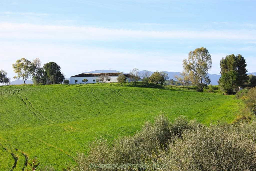 4 soverom Finca/Herregård til salgs i Algodonales - € 1 500 000 (Ref: 8194857)