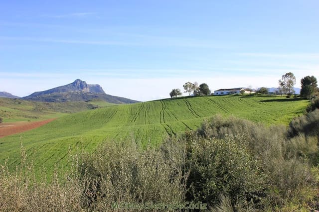 4 soverom Finca/Herregård til salgs i Algodonales - € 1 500 000 (Ref: 8194857)