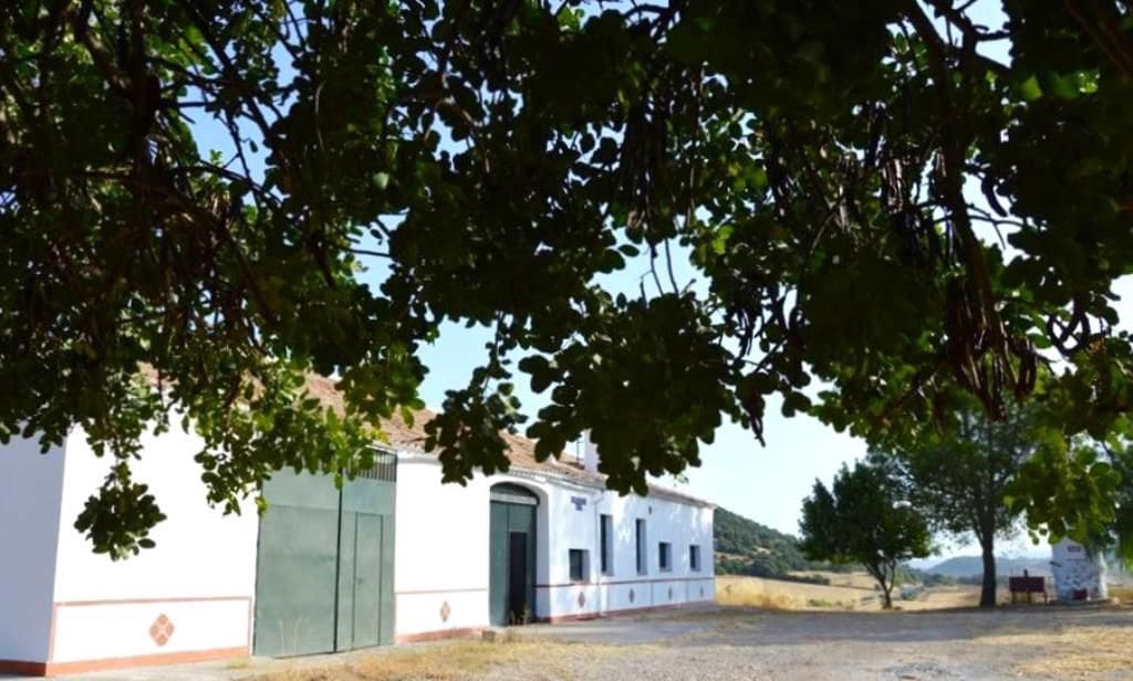 4 soverom Finca/Herregård til salgs i Algodonales - € 1 500 000 (Ref: 8194857)