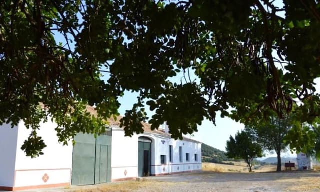 4 soverom Finca/Herregård til salgs i Algodonales - € 1 500 000 (Ref: 8194857)