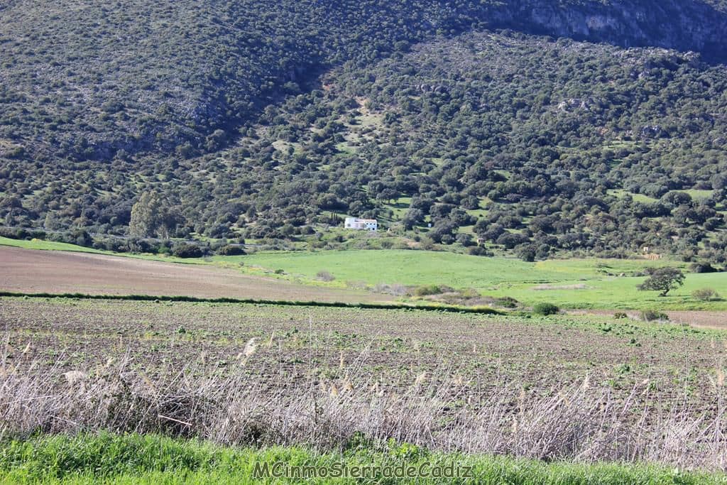 4 soverom Finca/Herregård til salgs i Algodonales - € 1 500 000 (Ref: 8194857)