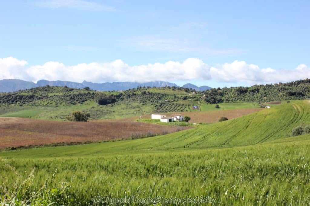 4 soverom Finca/Herregård til salgs i Algodonales - € 1 500 000 (Ref: 8194857)