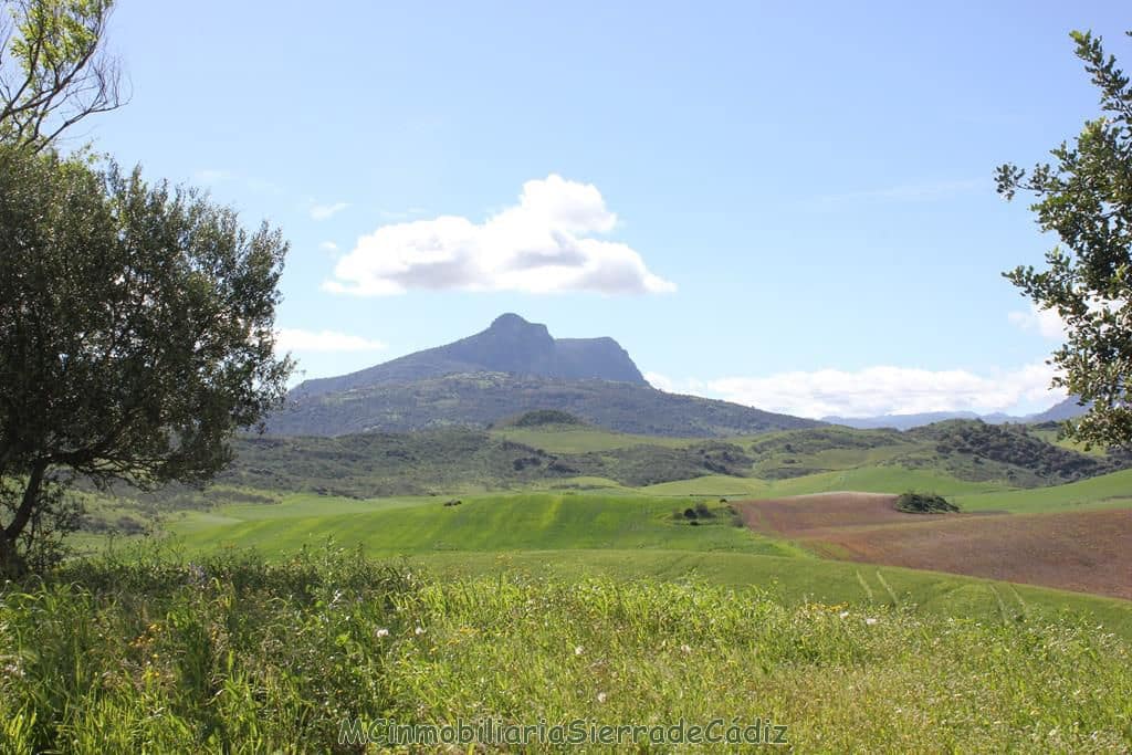 4 soverom Finca/Herregård til salgs i Algodonales - € 1 500 000 (Ref: 8194857)