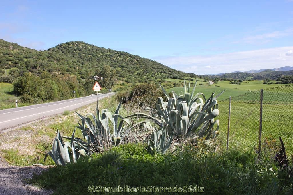 4 soverom Finca/Herregård til salgs i Algodonales - € 1 500 000 (Ref: 8194857)