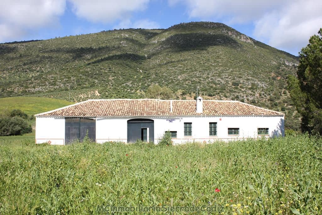 4 soverom Finca/Herregård til salgs i Algodonales - € 1 500 000 (Ref: 8194857)