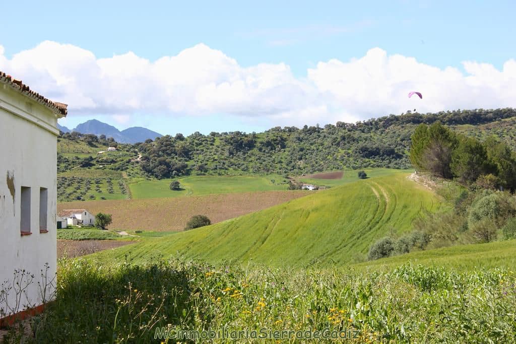 4 soverom Finca/Herregård til salgs i Algodonales - € 1 500 000 (Ref: 8194857)