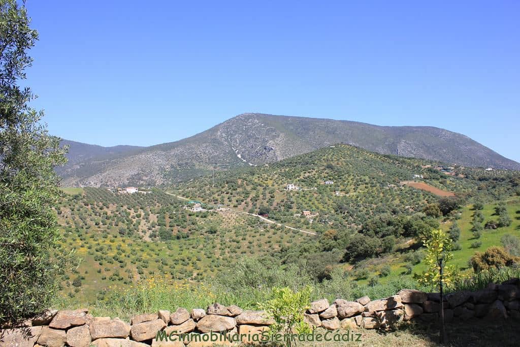 3 soveværelse Finca/Landehus til salg i Algodonales - € 285.000 (Ref: 8233996)