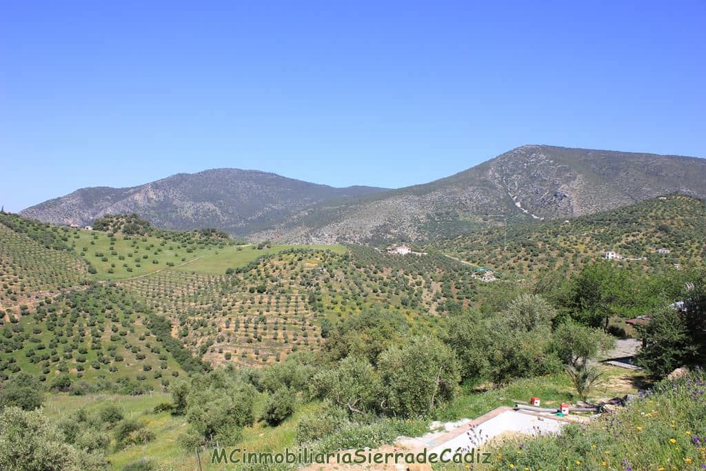 3 soveværelse Finca/Landehus til salg i Algodonales - € 285.000 (Ref: 8233996)